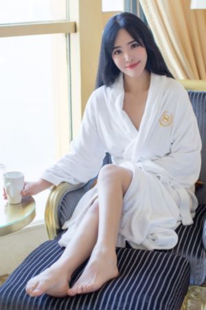 律师精英