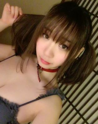 电视剧白夜破晓免费观看